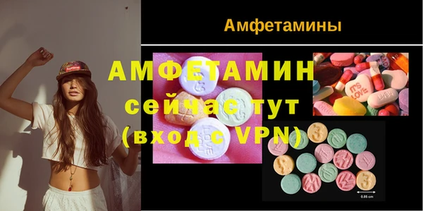 гашик Мегион