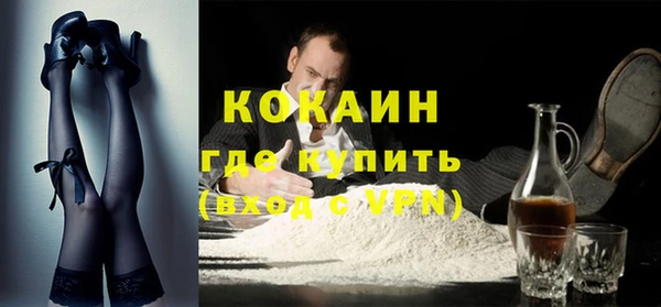 гашик Мегион