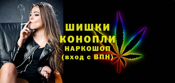 гашик Мегион