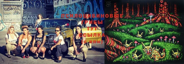 jwh Медвежьегорск