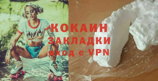 гашик Мегион