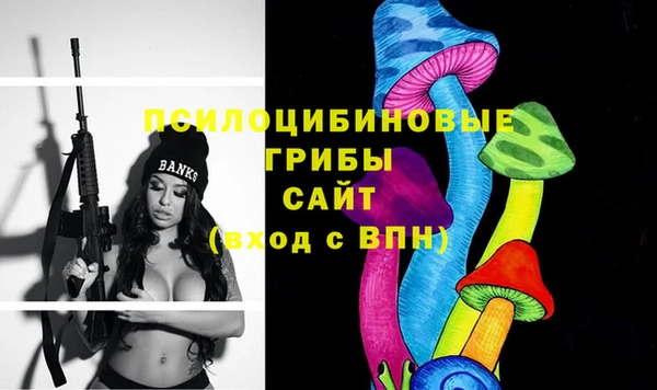 jwh Медвежьегорск
