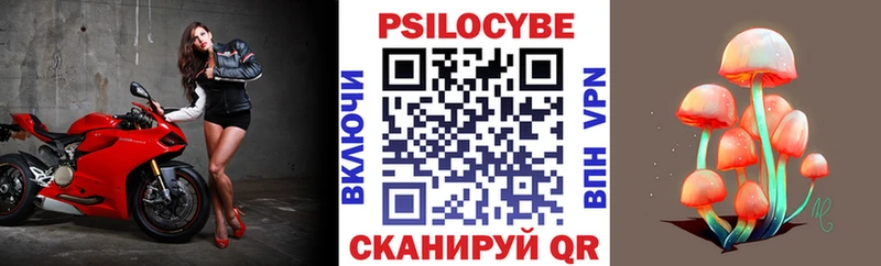 Купить где  Шиханы  Псилоцибиновые грибы Magic Shrooms 